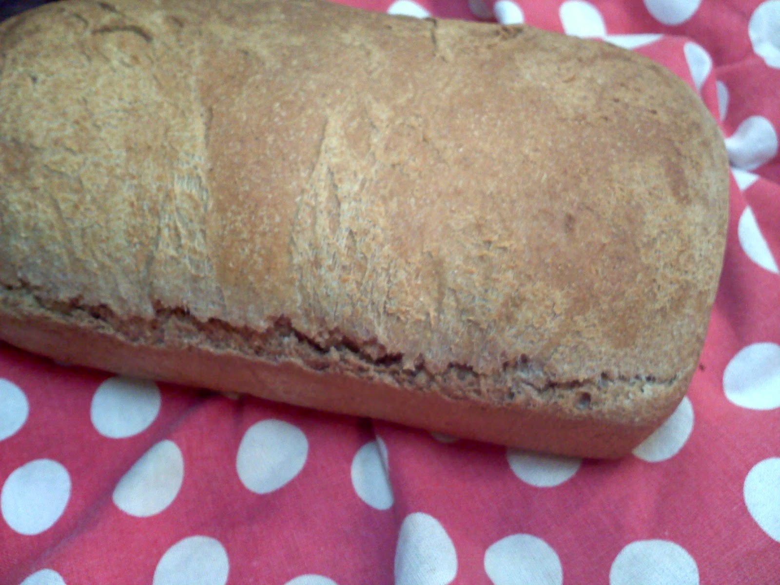 Choice Sustenance Whole Wheat Cinnamon Raisin Bread