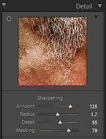 Detail or Sharpening Settings in Lightroom for the 300 Look Tutorial by Dakota Visions Photography LLC www.seeyoubehindthelens.com