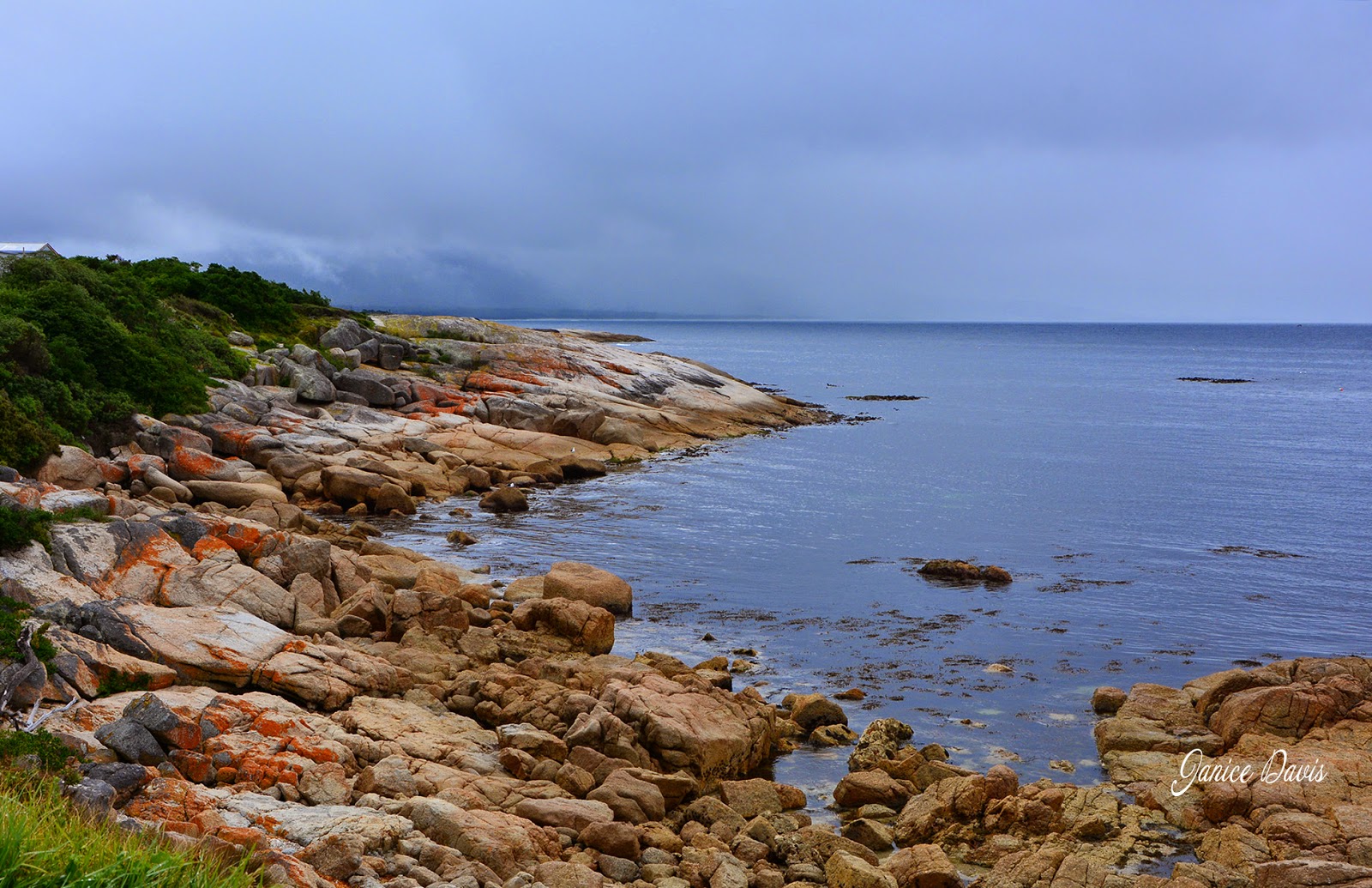 thoughts & happenings The Gulch, Bicheno, Tasmania.