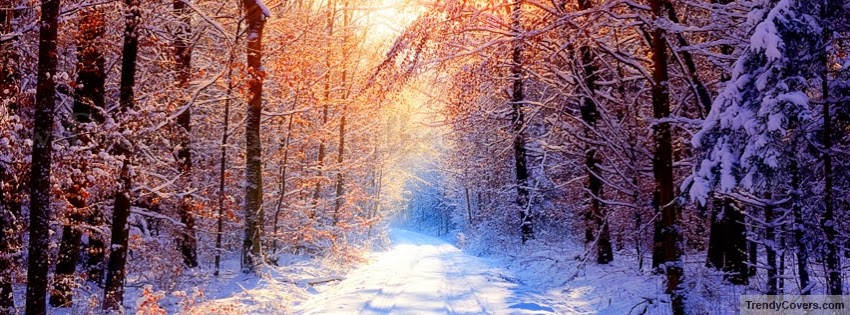 amazing facebook timeline cover for 2014 my world facebook cover photo images