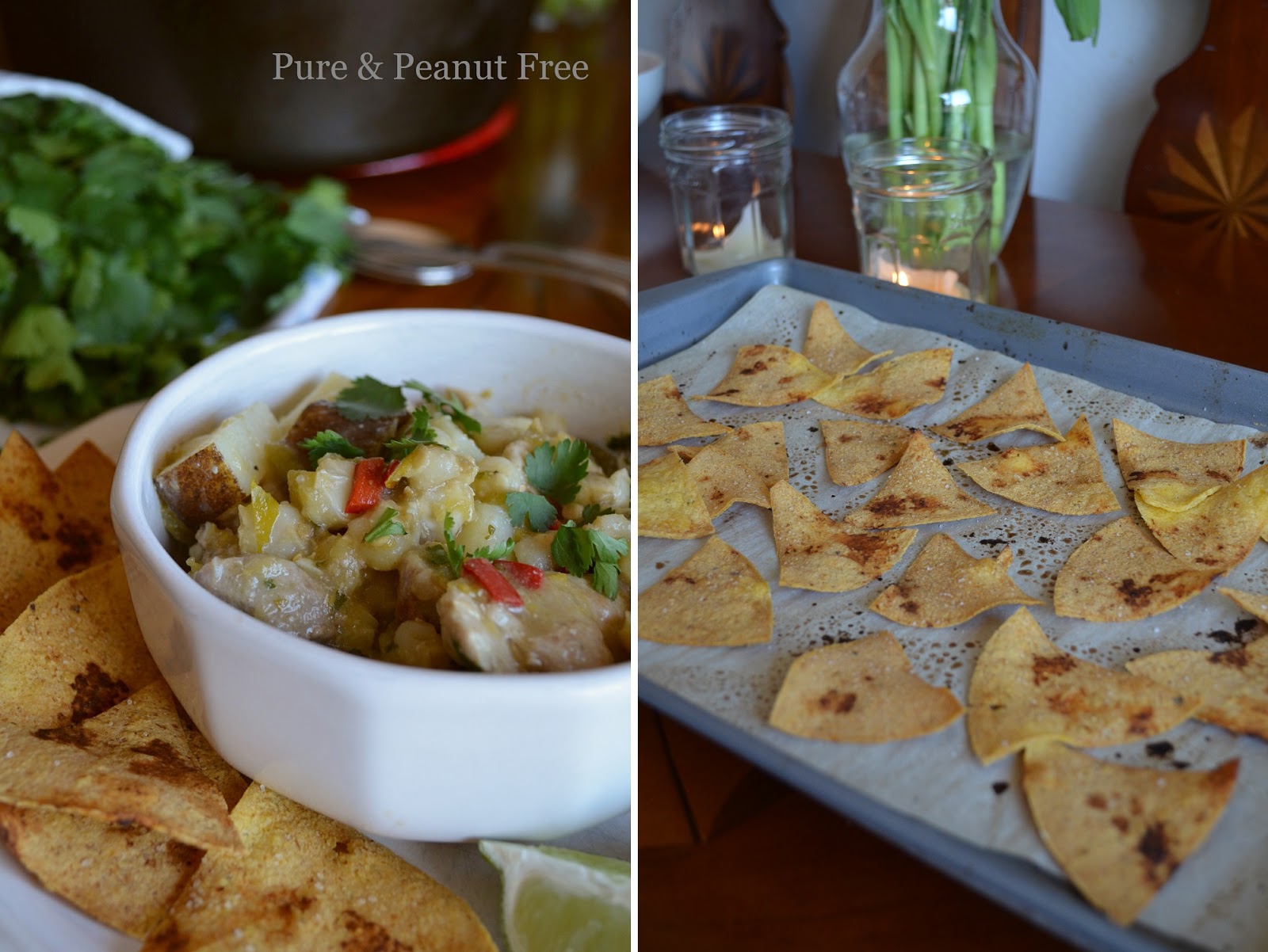 Pure and Peanut Free Santa Fe Green Chile Stew