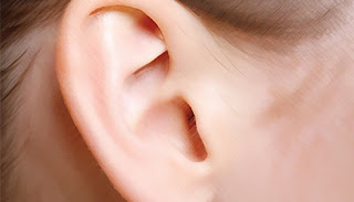 http://2.bp.blogspot.com/-MF4QGeVIicI/TY7n3aoMhgI/AAAAAAAAAEA/MFD4yIhVVQE/s320/telinga.jpeg