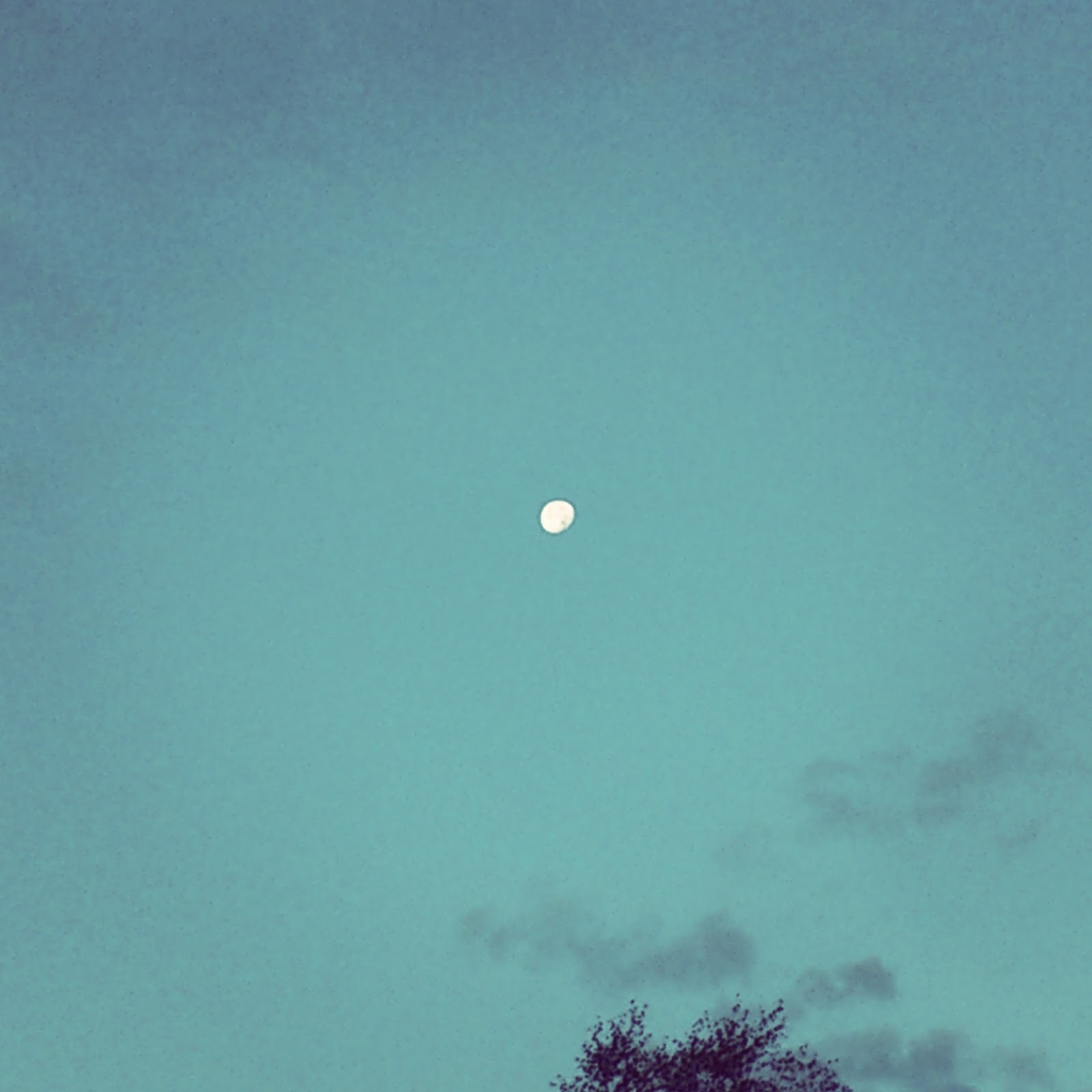 Kuchiba November 2014