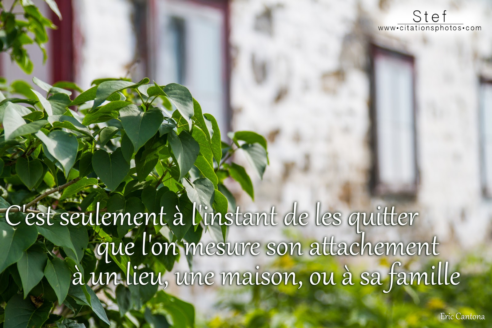 Mesurer Son Attachement