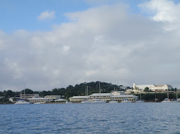 View of downtown from the bay