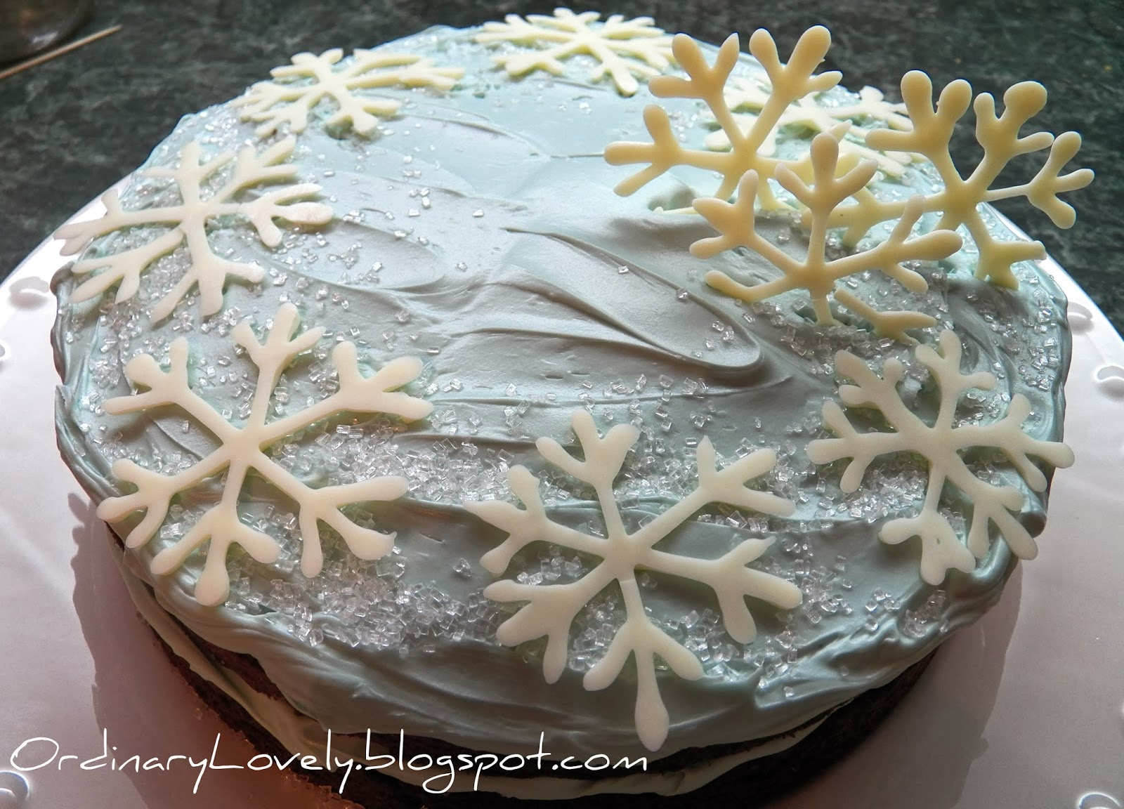 Ordinary Lovely First Snow Cake