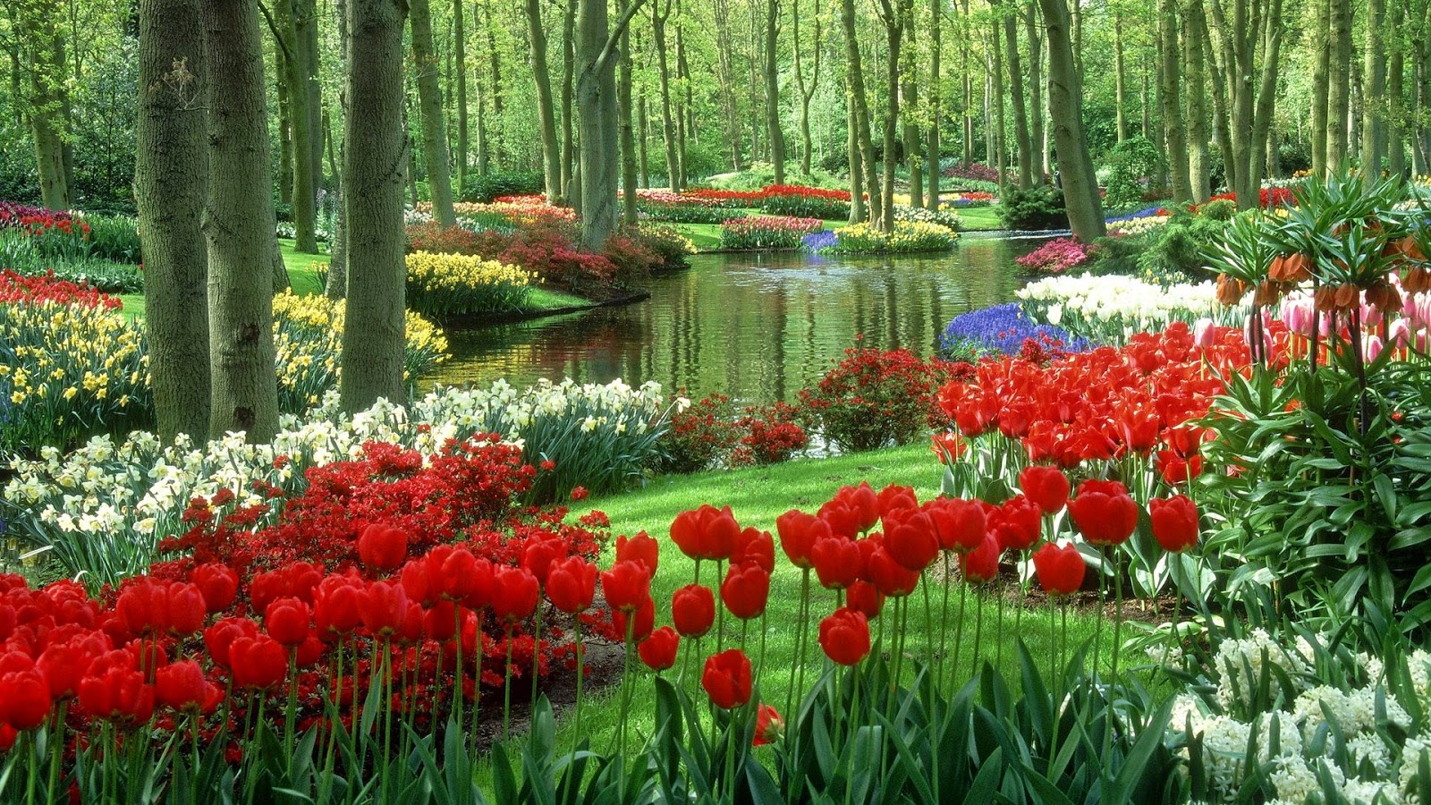 3d flower