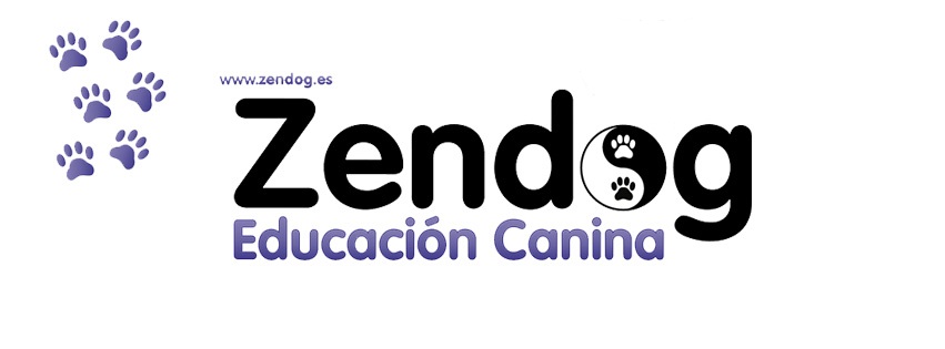 Zendog Educación Canina