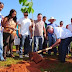 Programa Anual de Plantio de Árvores é lançado em Ceilândia