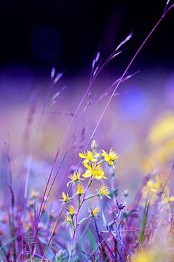 50+ Beautiful iPhone Wallpapers | Most beautiful places in the world
