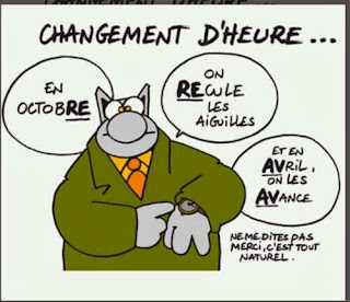 Changement d'heure, le chat vous donne son truc