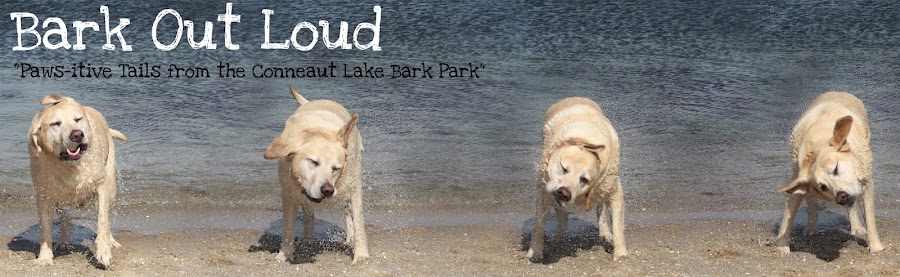 Bark Out Loud