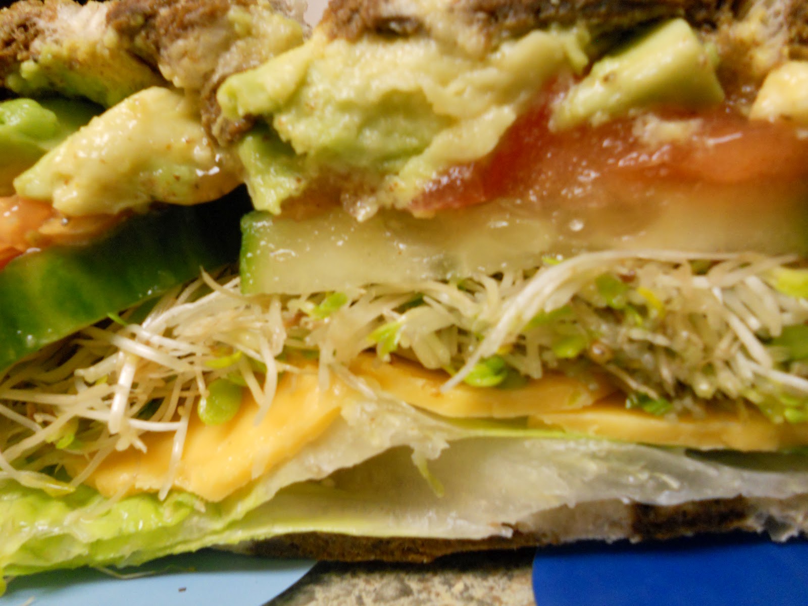 The Traveling Cuisine Sprout Central Terminal Sandwich