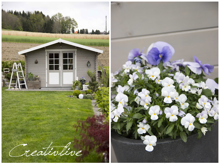 Zeigt her eure Gärten..... | creativLIVE