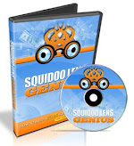 Drive Traffic to Your Blog or Site with Squidoo