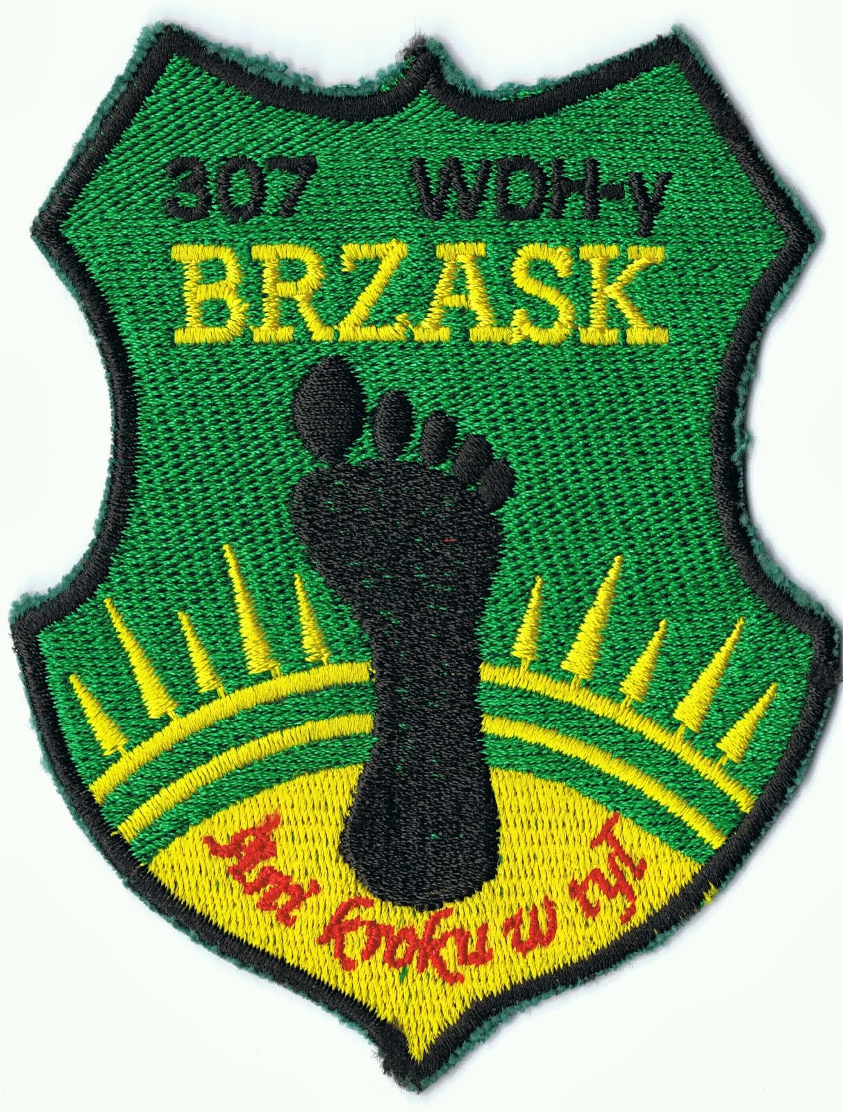 307 WDH-y "Brzask"