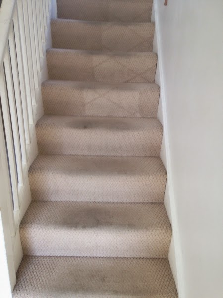student accommodation carpet clean - art of clean