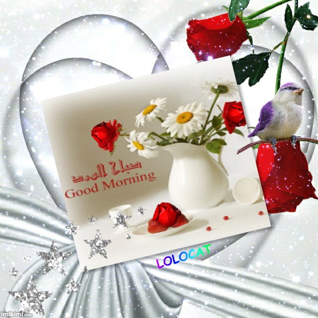 صباح الخير ( good morning ) moonlight