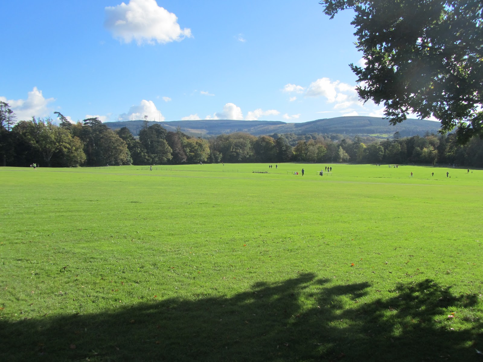 EXPAT WITH KIDS IN DUBLIN : Sunny Saturday in Marlay Park (Dublin 16)