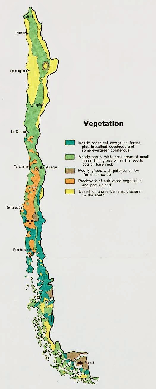 Chile Mapas Geográficos do Chile Enciclopédia Global™