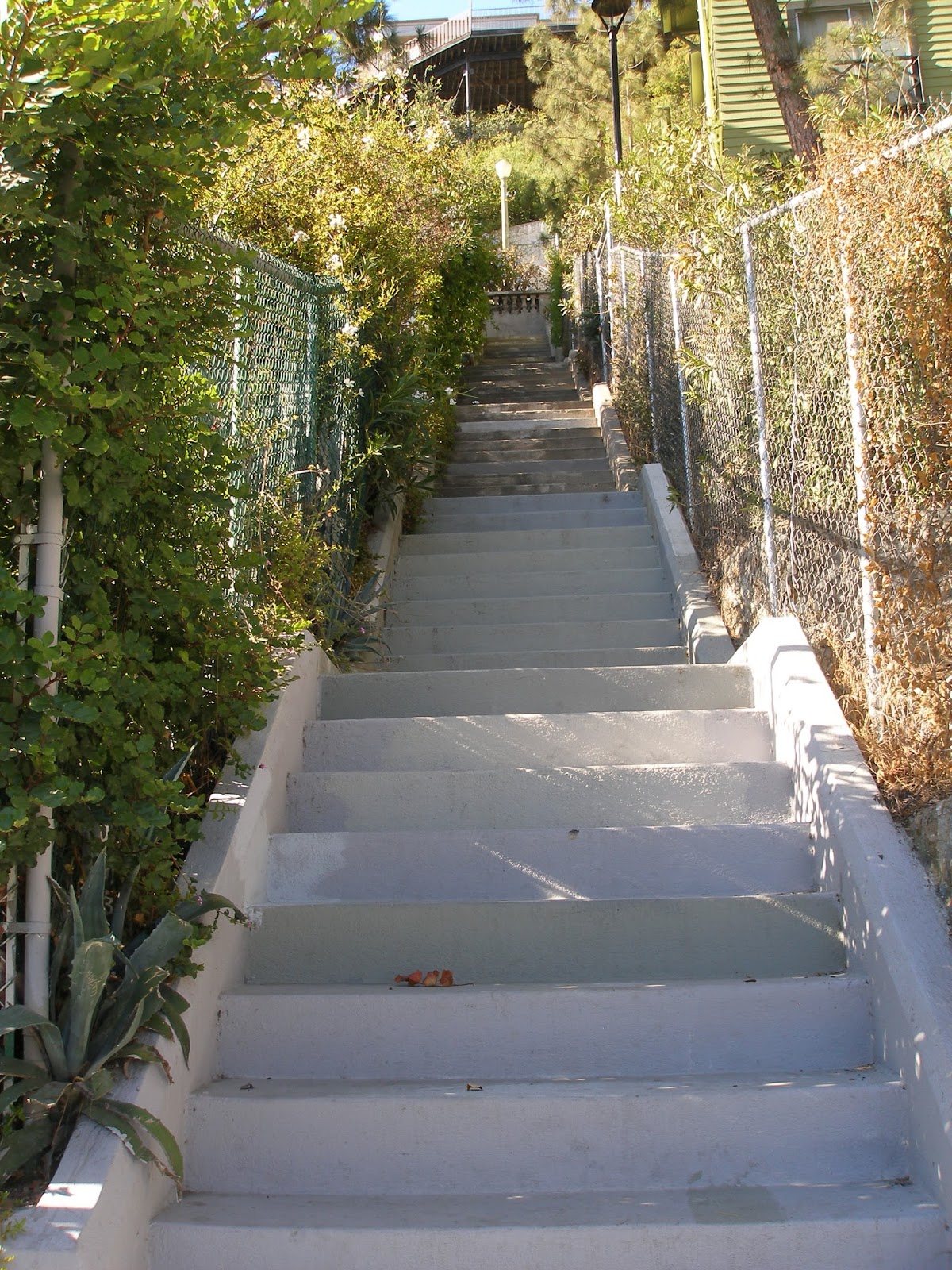 Los Angeles Climbing the Hidden Stairways Staircases in Los Feliz