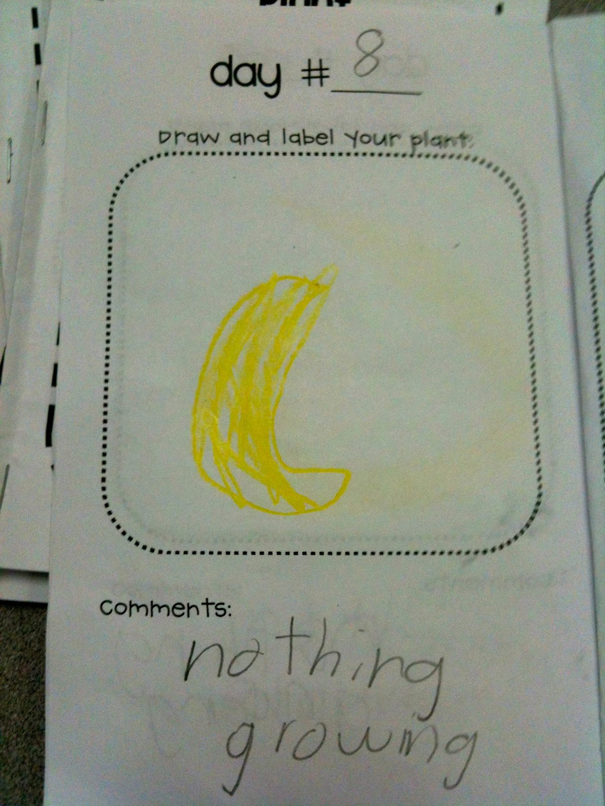 Kindergarten SuperKids More Plants!