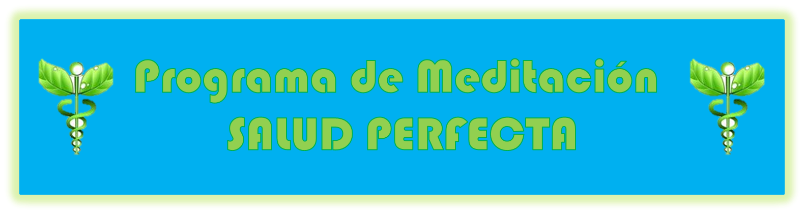 la salud perfecta deepak chopra pdf