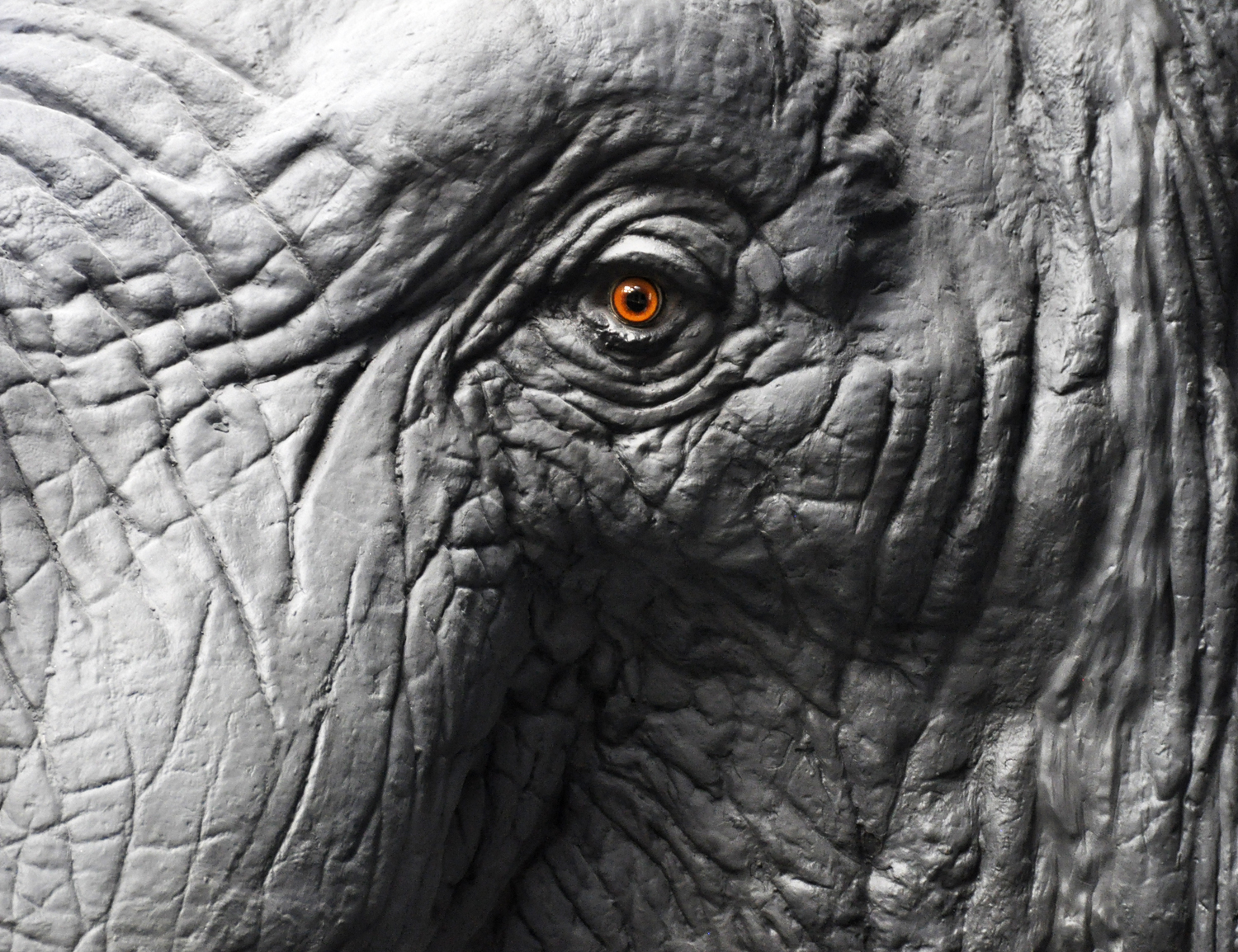 voyager autrement rencontre nature peuples