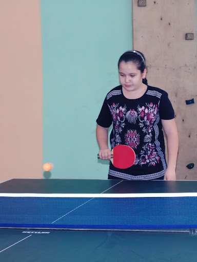 Городской турнир по настольному теннису