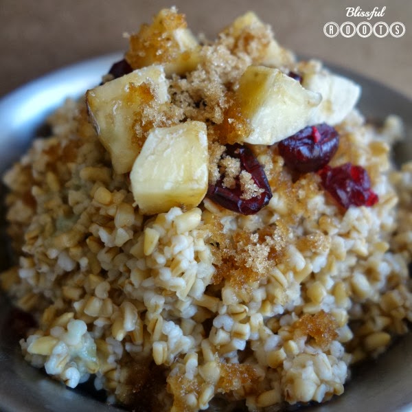 BLISSFUL ROOTS Overnight Steel Cut Oats {from Mel's Kitchen Cafe}