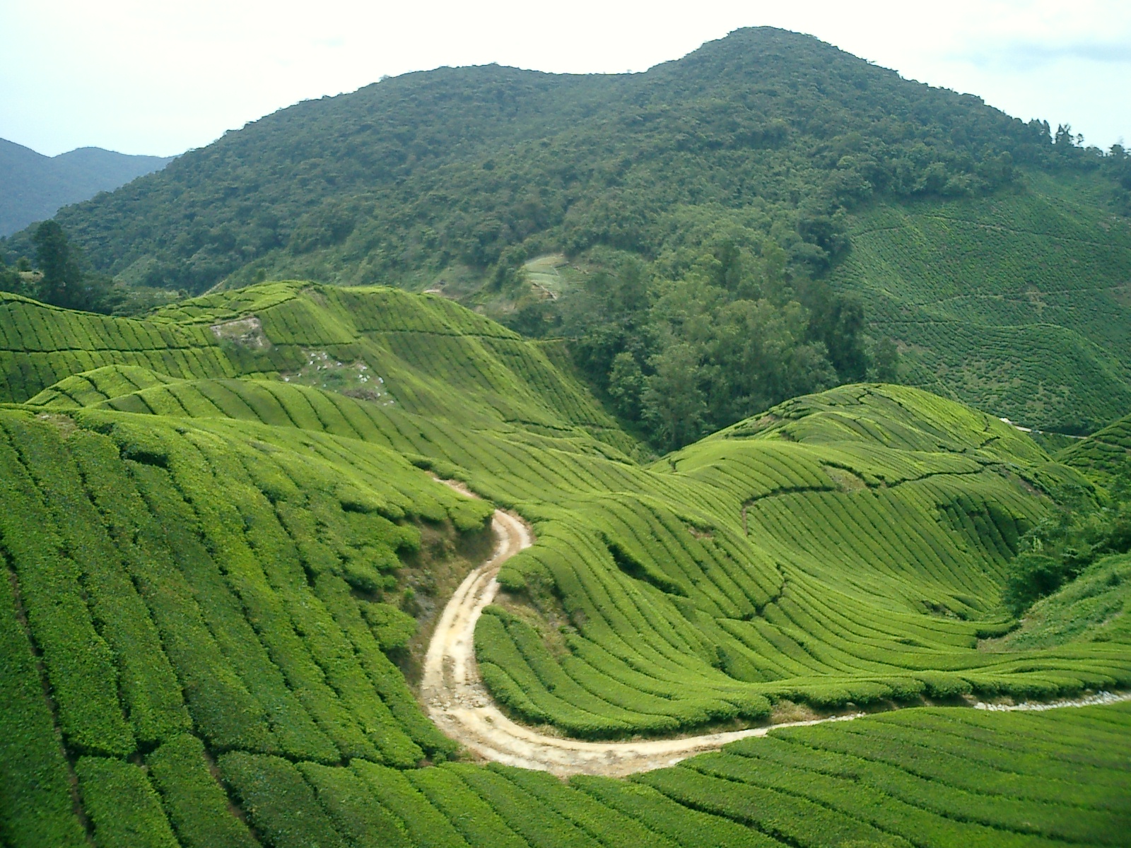 Malaysia Attractions f...