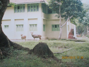 Nagarahole National park Tourist office(19-6-2001)