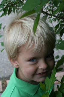 Anton peeking out of foliage in a game of hide and seek.