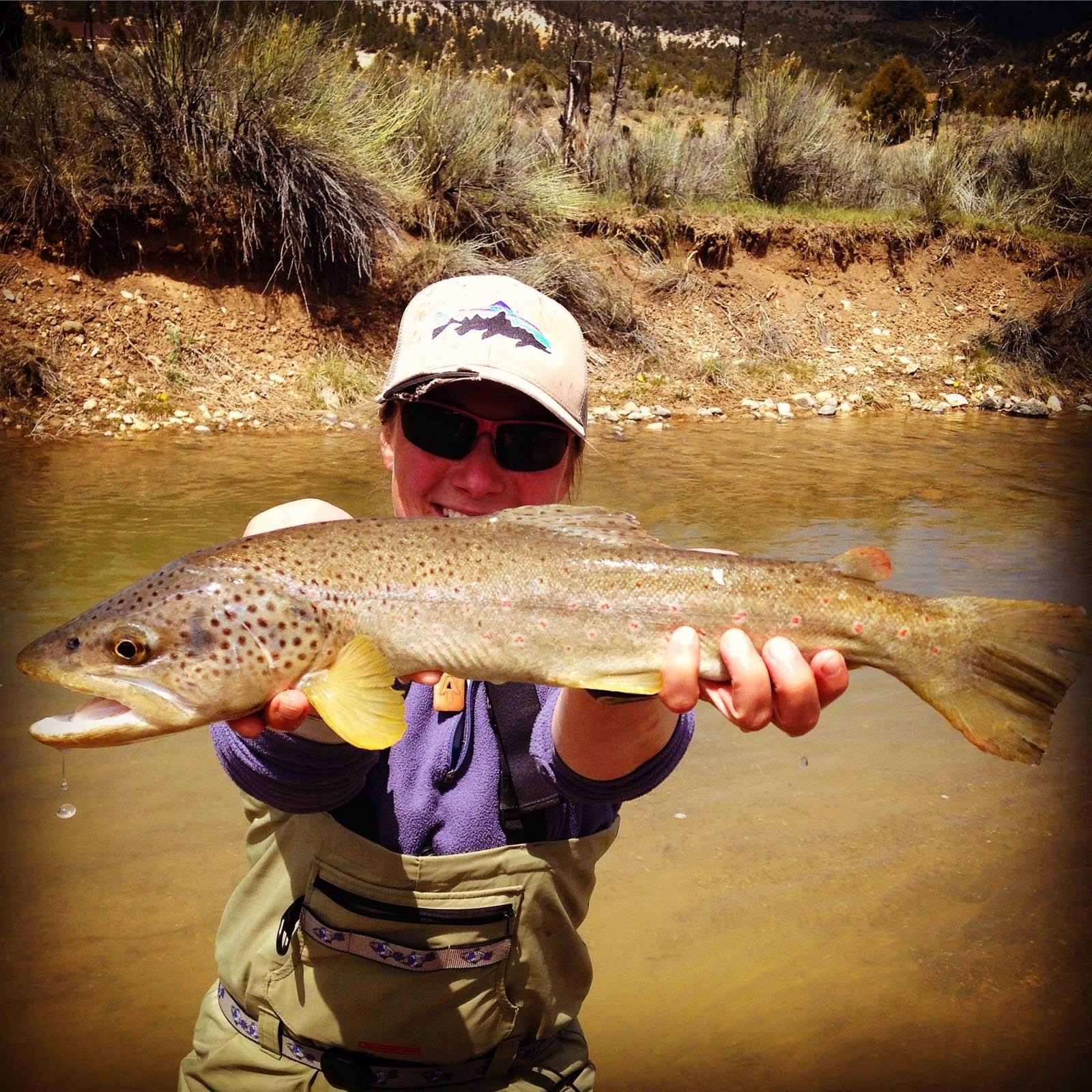 Within Walking Distance Fly Fishing in Utah