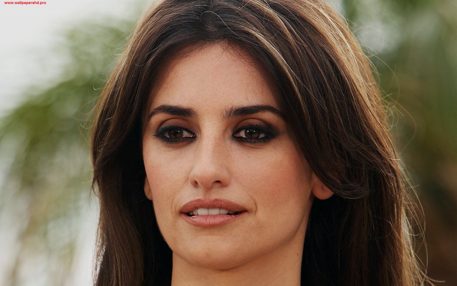 http://2.bp.blogspot.com/-MJAUh8hFHXk/UOB06W99GKI/AAAAAAAAV44/D16ctERgTX8/s1600/Penelope+Cruz+(6).jpg