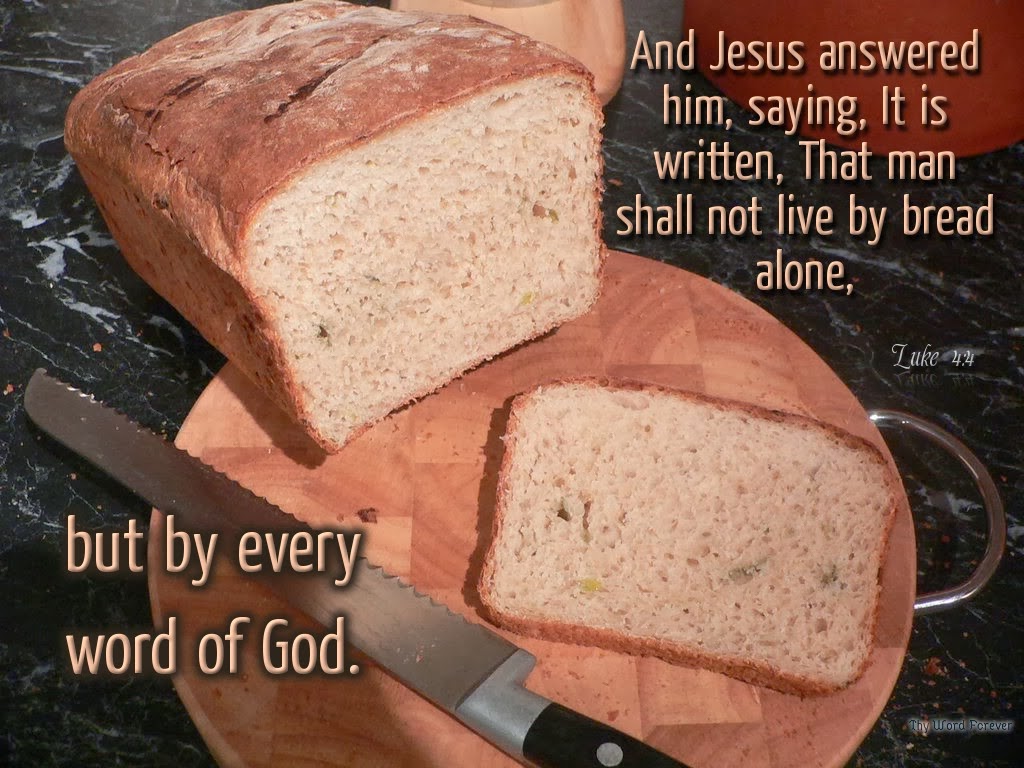Not Bread Alone Soup Kitchen Amherst Not Bread Alone Soup Kitchen Amherst