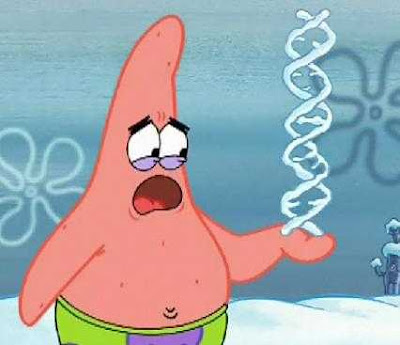 [AT]sutane [I]enari: Kata-kata PATRICK STAR yang unik dan lucu