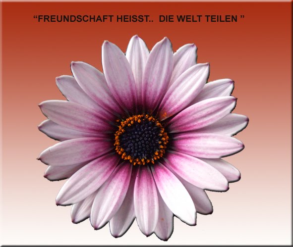 Zitate Freundschaftsspruche Motivation April 2011