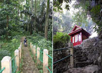 Jalan ke Curug Dago Jalan ke Curug Dago