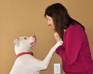 Ziggy and me staring into each other's eyes