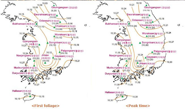 foliage peak korea