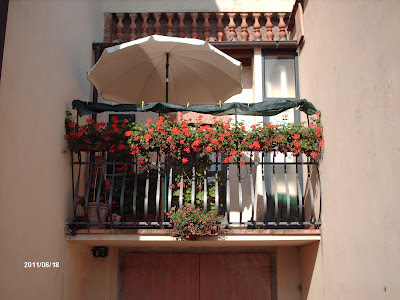 chat e incontra nausicaa