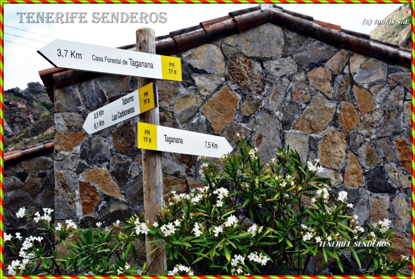 jose feliciano rain دانلود tenerife senderos tenerife senderos afur tamadite jose feliciano rain دانلود tenerife senderos tenerife senderos afur tamadite