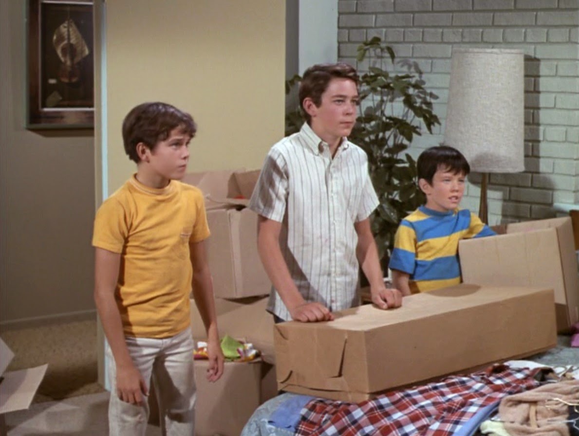 The Brady Bunch Blog April 2014