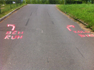 IMG 1812 - geen-categorie - Tsjechie, het land van..