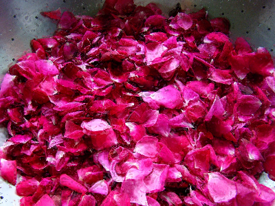 Kenya is world famous for its cut flower farms especially the roses Kenya is world famous for its cut flower farms especially the roses