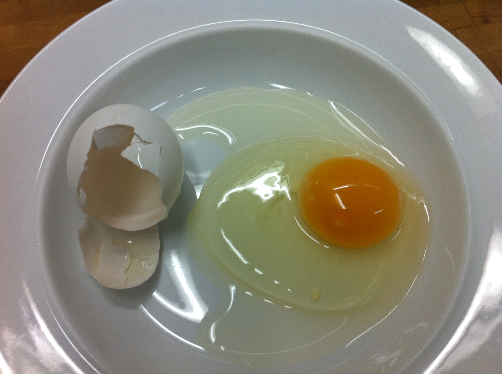 Baby PT has gone Primal! Japanese Eggs versus American Eggs
