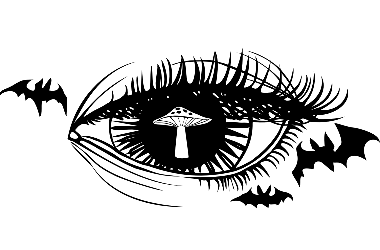 SPOOKY SURPRISE