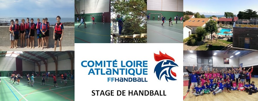 Stage de handball 44