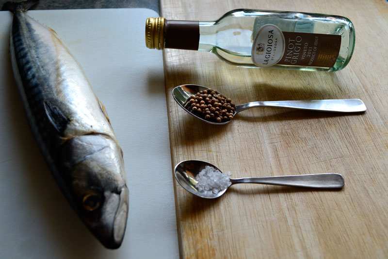 Pass the Garum Mackerel in a Coriander Crust